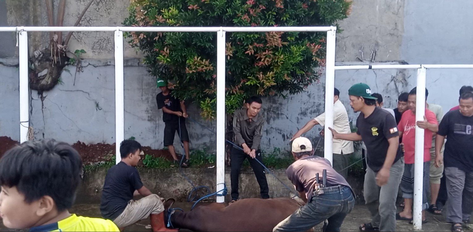 SMPIT Pesantren Nururrahman Sembelih 2 Ekor Sapi dan 3 Ekor Kambing